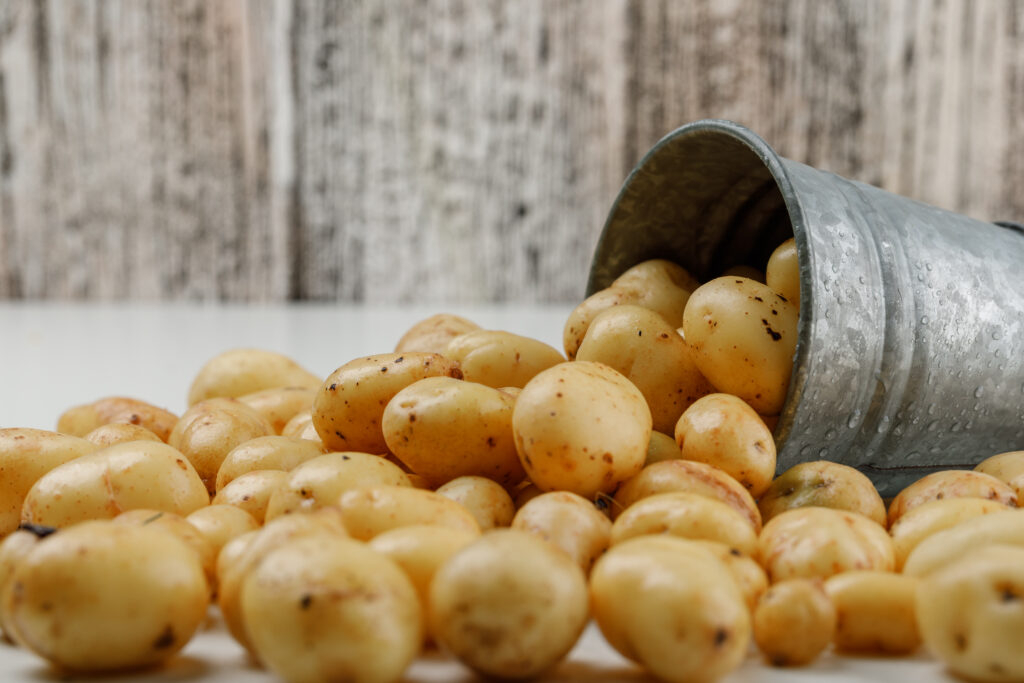 Scattered potatoes from a mini bucket on white and grungy wooden background. side view.